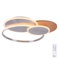 Paul Neuhaus 8328-79 - Iluminação de teto LED com regulação PALMA LED/50W/230V 2700-5000K pinho + comando
