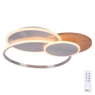 Paul Neuhaus 8328-79 - Iluminação de teto LED com regulação PALMA LED/50W/230V 2700-5000K pinho + comando