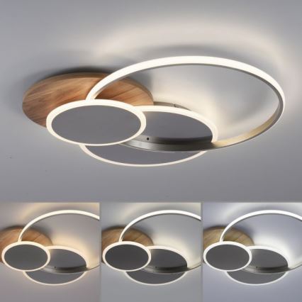 Paul Neuhaus 8328-79 - Iluminação de teto LED com regulação PALMA LED/50W/230V 2700-5000K pinho + comando