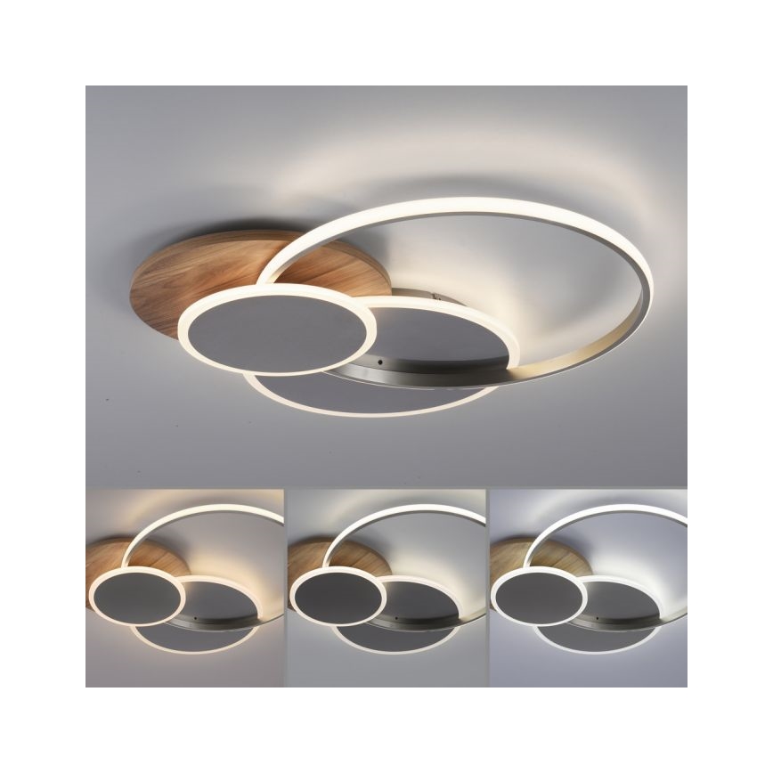 Paul Neuhaus 8328-79 - Iluminação de teto LED com regulação PALMA LED/50W/230V 2700-5000K pinho + comando