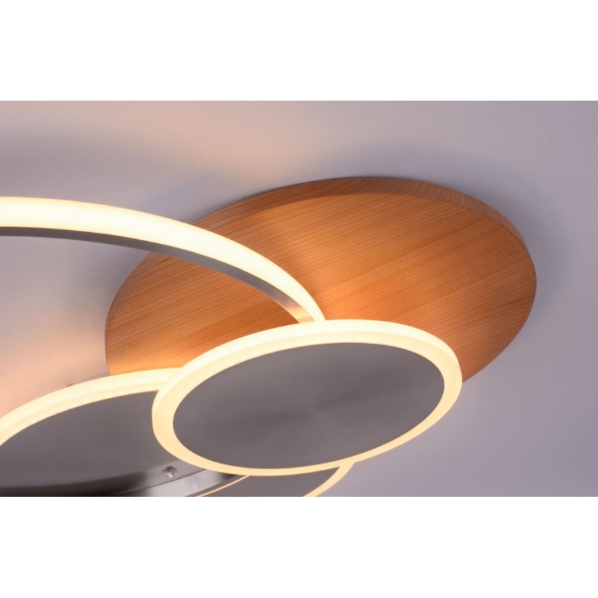 Paul Neuhaus 8328-79 - Iluminação de teto LED com regulação PALMA LED/50W/230V 2700-5000K pinho + comando