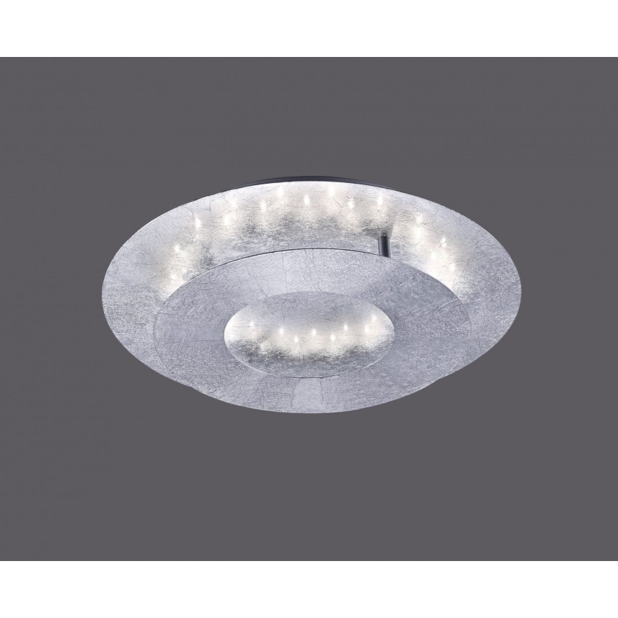 Paul Neuhaus 9011-21 - Iluminação de teto LED NEVIS LED/6W/230V prateada