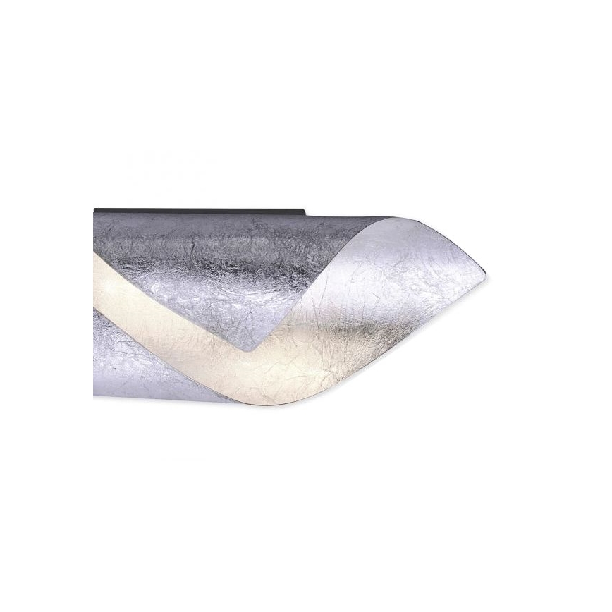 Paul Neuhaus 9030-21 - Iluminação de parede LED NEVIS LED/6W/230V prateada