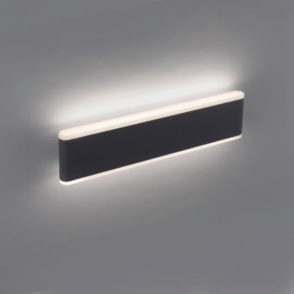 Paul Neuhaus 9484-13 - Iluminação exterior LED com regulação ELSA 2xLED/9W/230V IP65