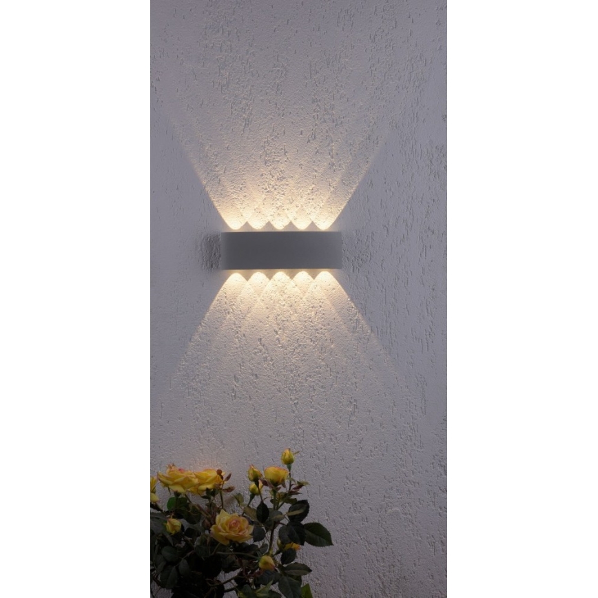 Paul Neuhaus 9489-21- Iluminação de parede exterior LED CARLO 10xLED/0,8W/230V IP54