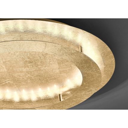 Paul Neuhaus 9621-12 - Iluminação de teto LED NEVIS LED/24W/230V