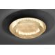 Paul Neuhaus 9621-12 - Iluminação de teto LED NEVIS LED/24W/230V