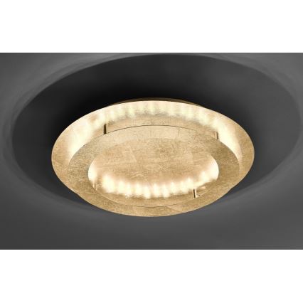 Paul Neuhaus 9621-12 - Iluminação de teto LED NEVIS LED/24W/230V