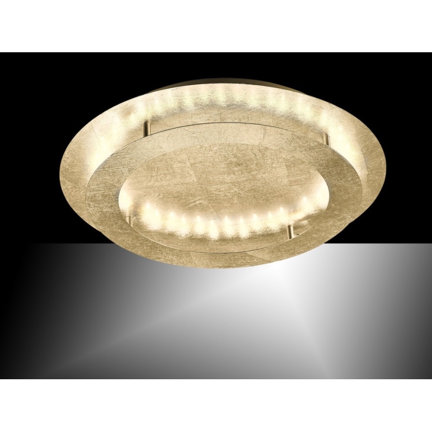 Paul Neuhaus 9621-12 - Iluminação de teto LED NEVIS LED/24W/230V