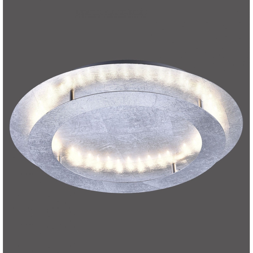 Paul Neuhaus 9621-21 - Iluminação de teto LED NEVIS LED/24W/230V