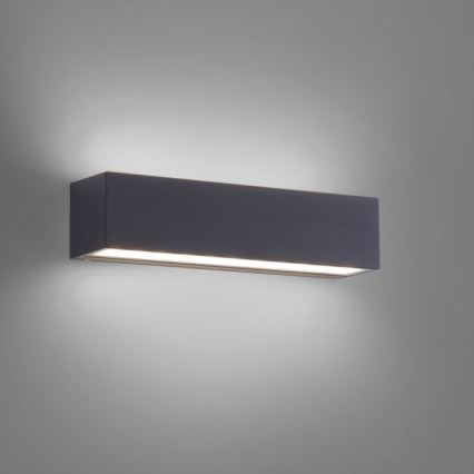 Paul Neuhaus 9675-13 - Iluminação de parede exterior LED ROBERT 2xLED/9W/230V IP65