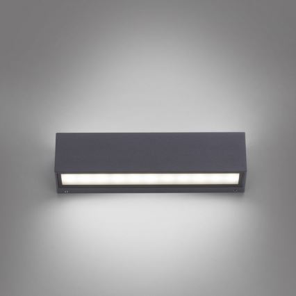 Paul Neuhaus 9675-13 - Iluminação de parede exterior LED ROBERT 2xLED/9W/230V IP65