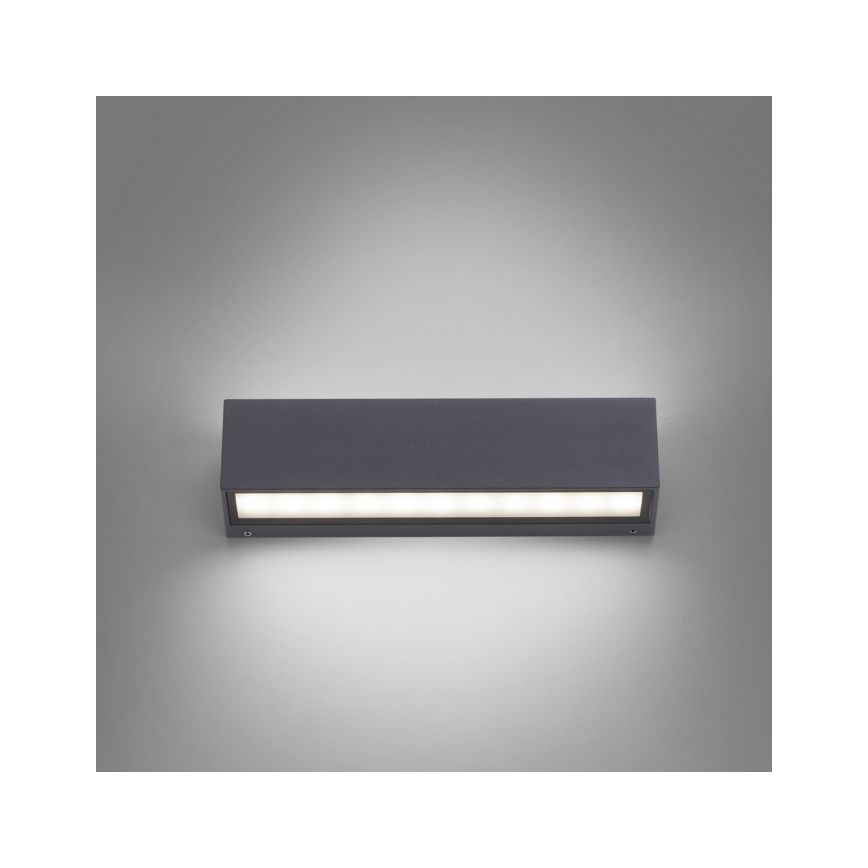 Paul Neuhaus 9675-13 - Iluminação de parede exterior LED ROBERT 2xLED/9W/230V IP65