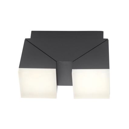 Paul Neuhaus 9722-13 - Iluminação de parede exterior LED RYAN 2xLED/5W/230V IP54