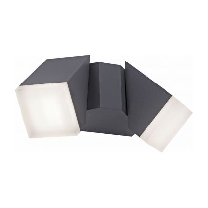 Paul Neuhaus 9722-13 - Iluminação de parede exterior LED RYAN 2xLED/5W/230V IP54