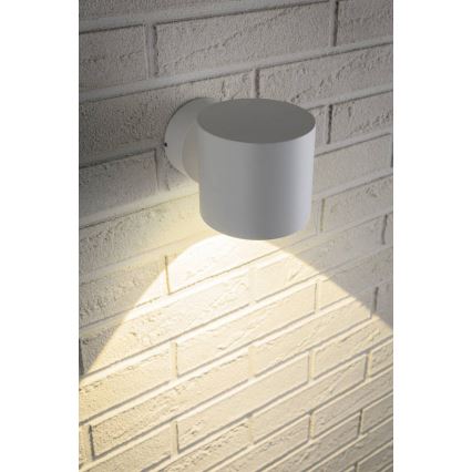 Paulmann 18007 - LED/5W IP44 Luz de parede de exterior FLAME 230V