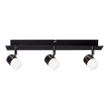 Paulmann 50099 - 3xLED/6,5W Foco com regulação SMART DEON 230V ZigBee