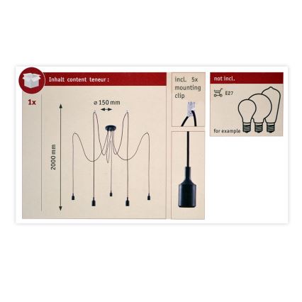 Paulmann 50389 - Candeeiro suspenso NEORDIC 5xE27/20W/230V aranha