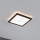 Paulmann 71000 - LED/11,2W Painel integrado ATRIA 230V 3000K 19x19 cm preto