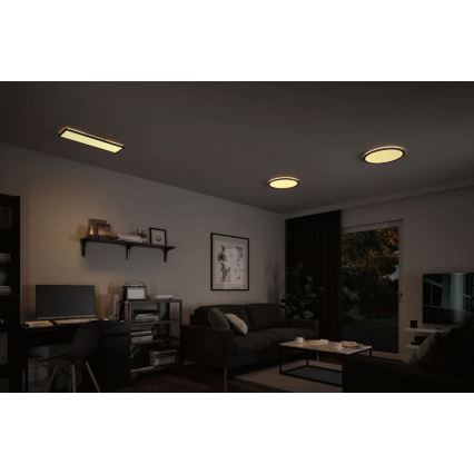 Paulmann 71003 - LED/22W Painel com regulação ATRIA 230V 3000K 20x58 cm preto