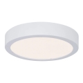 Paulmann 78923 - LED/13W IP44 Iluminação de teto de casa de banho com regulação AVIAR 230V