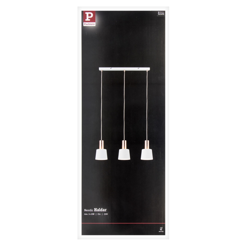 Paulmann 79657 - 3xE14/20W Candelabro suspenso NEORDIC HALDAR 230V