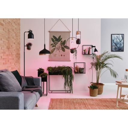 Paulmann 79749 - 1xGU10/20W Candelabro suspenso FANJA 230V