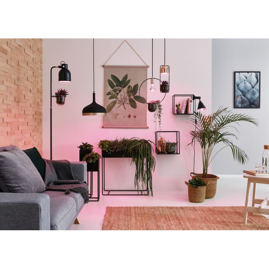 Paulmann 79749 - 1xGU10/20W Candelabro suspenso FANJA 230V