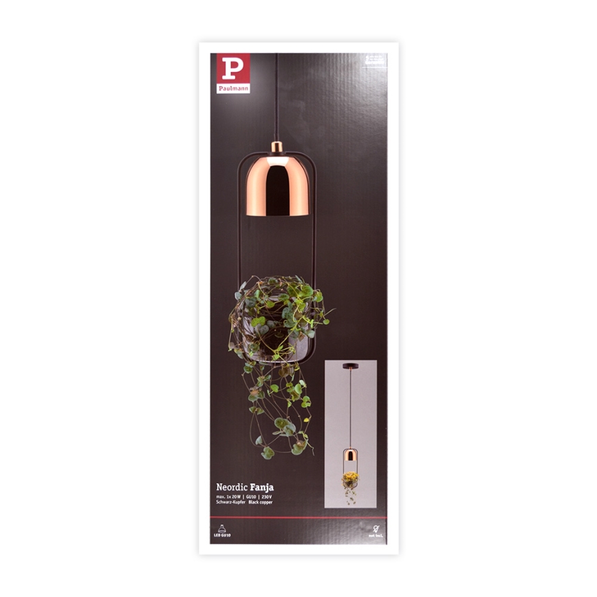Paulmann 79749 - 1xGU10/20W Candelabro suspenso FANJA 230V