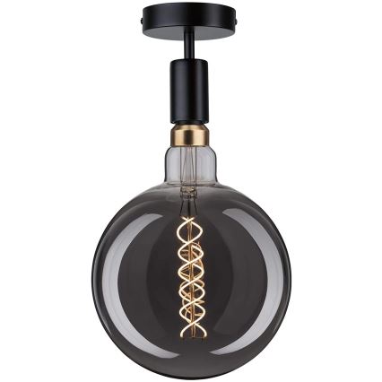 Paulmann 79760 - Luz de teto HALDOR 1xE27/20W/230V