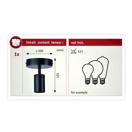 Paulmann 79760 - Luz de teto HALDOR 1xE27/20W/230V