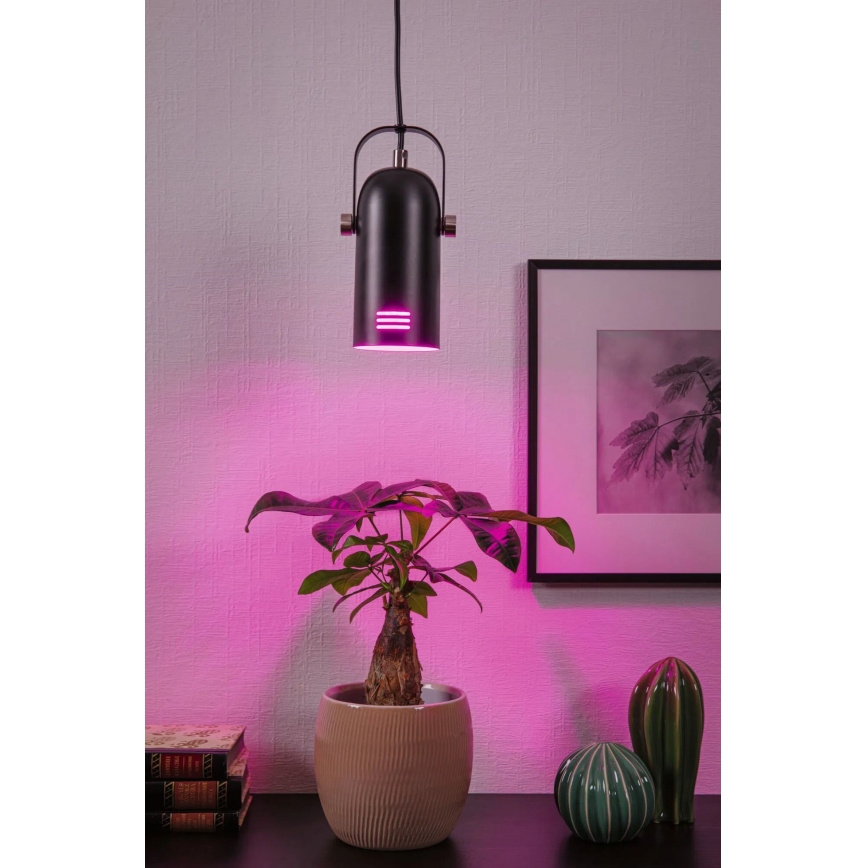 Paulmann 79766 - LED RGBW 1xE27/9W Pendente em cabo LAVEA 230V preto
