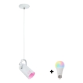 Paulmann 79767 - LED RGBW 1xE27/9W Lustre suspenso com cabo LAVEA 230V branco