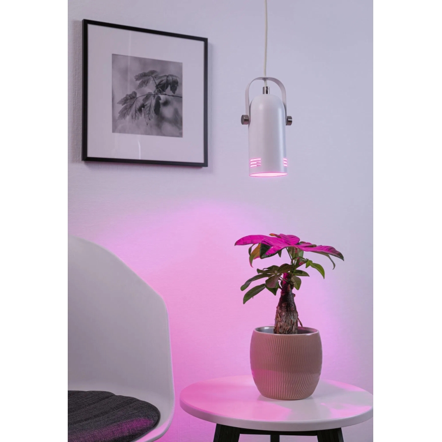Paulmann 79767 - LED RGBW 1xE27/9W Lustre suspenso com cabo LAVEA 230V branco