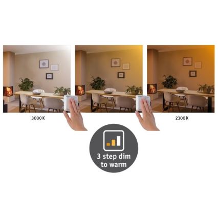 Paulmann 79794 - LED/13W Iluminação de teto CARPO 230V 2300/2500/3000K