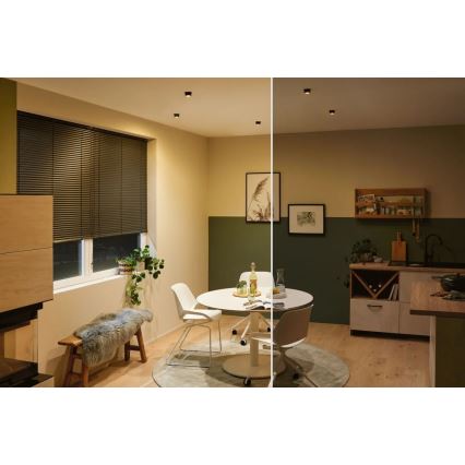 Paulmann 93379 - CONJUNTO 3xLED/6W IP44 Foco de encastrar de casa de banho com regulação GIL 230V