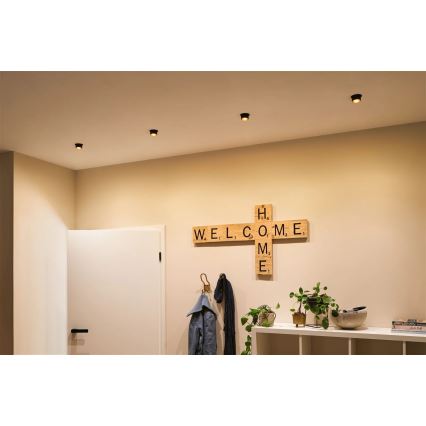 Paulmann 93379 - CONJUNTO 3xLED/6W IP44 Foco de encastrar de casa de banho com regulação GIL 230V