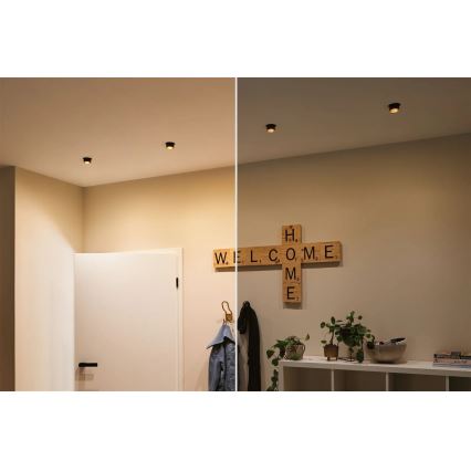 Paulmann 93379 - CONJUNTO 3xLED/6W IP44 Foco de encastrar de casa de banho com regulação GIL 230V