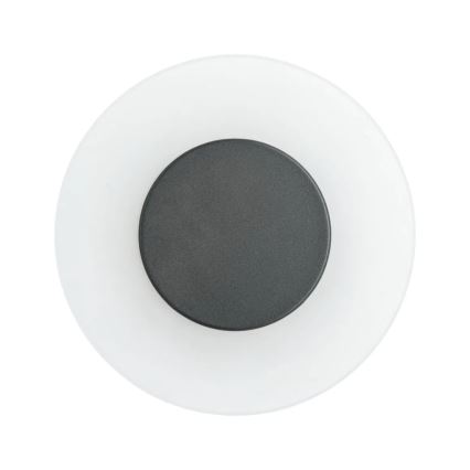 Paulmann 94409 - LED/4W IP44 Iluminação de parede exterior CIRCEA 230V