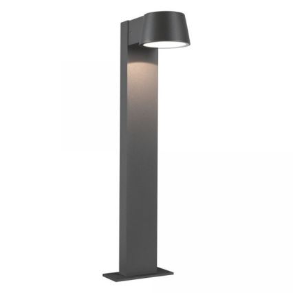 Paulmann 94454 - LED/6W IP44 Candeeiro exterior CAPEA 230V