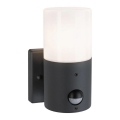 Paulmann 94648 - 1xE27/15W IP44 Iluminação de parede exterior com sensor TUBS 230V