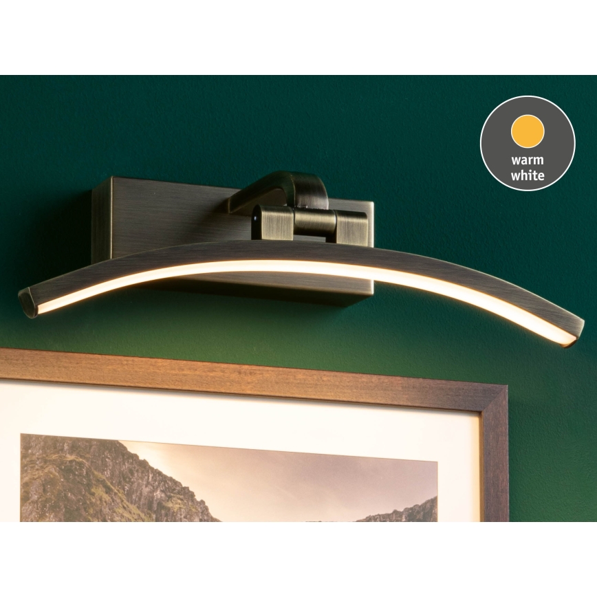 Paulmann 95559 - LED/6W Luz para quadros BENTO 230V 30 cm latão