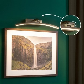 Paulmann 95560 - LED/8,5W Luminária para quadros BENTO 230V 40 cm latão