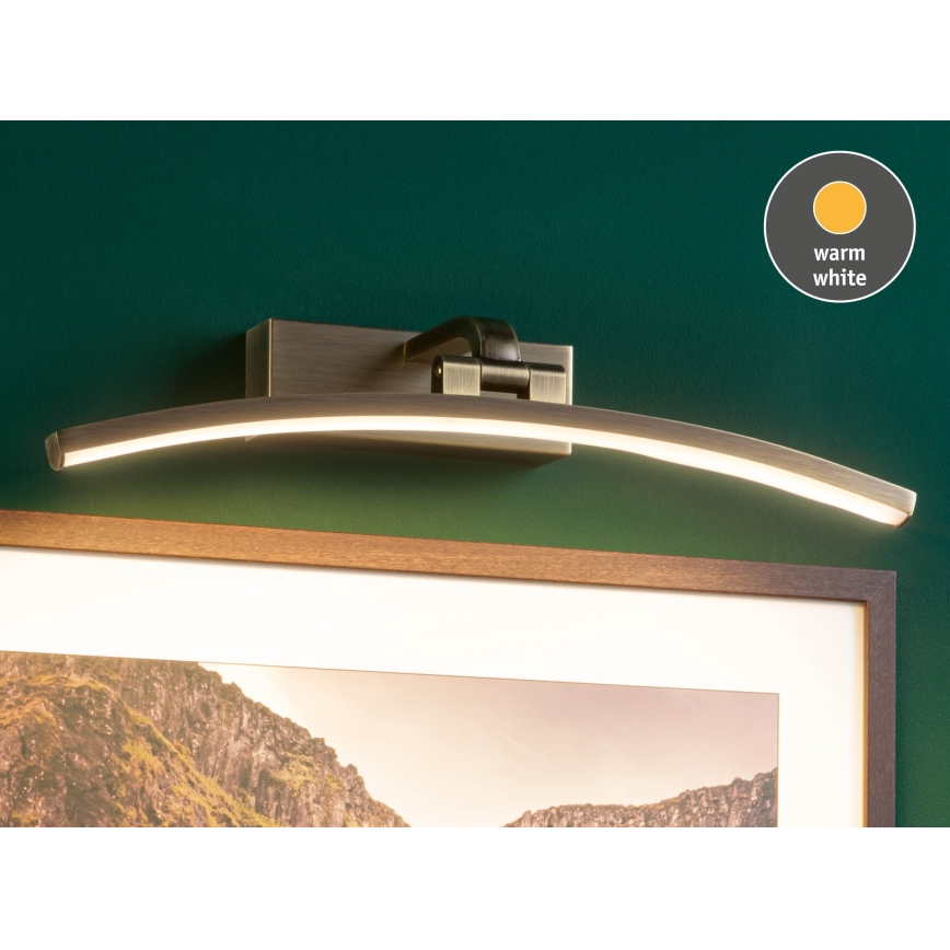 Paulmann 95560 - LED/8,5W Luminária para quadros BENTO 230V 40 cm latão