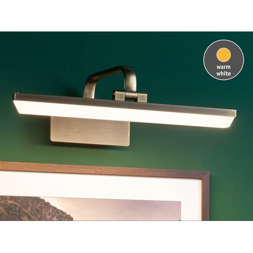 Paulmann 95569 - Luminária para quadros LED 9,5 W RENAN 230 V 40 cm latão