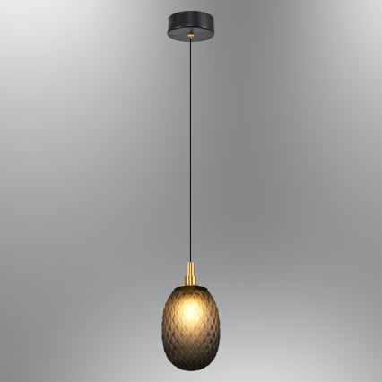 Pendente com cabo CACTUS 1xG9/5W/230V preto