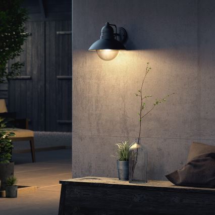 Philips - Luz de exterior 1xE27/60W/230V IP44
