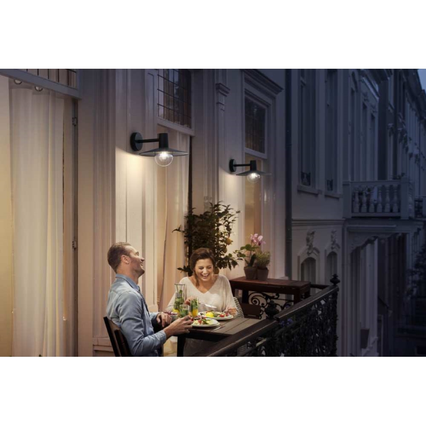 Philips - Luz de exterior 1xE27/42W/230V IP44