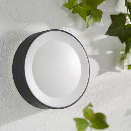 Philips - LED RGBW Iluminação de parede exterior com regulação Hue DAYLO LED/15W/230V 2000-6500K IP44