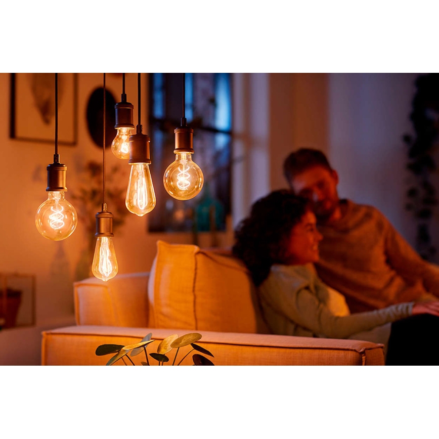 Philips - Cabo de carregamento 1xE27/40W/230V